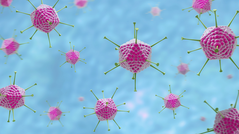 Bệnh lý đau mắt đỏ và các tác nhân gây bệnh 2