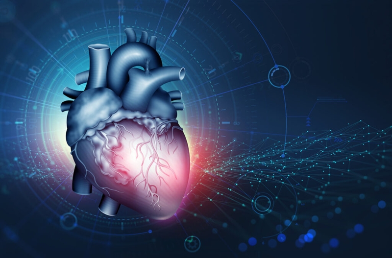 Bệnh mạch vành có chữa khỏi được không? Các phương pháp điều trị bệnh mạch vành 1