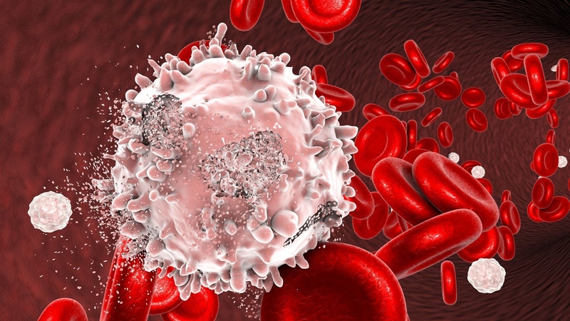 Bệnh máu trắng là gì? Nguyên nhân, triệu chứng và cách phòng ngừa bệnh máu trắng 1