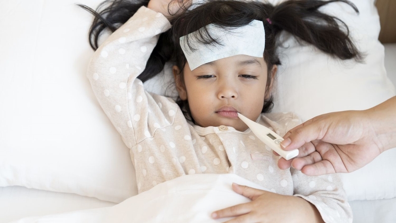 Bệnh mèo cào là gì? Nguyên nhân, triệu chứng và cách điều trị 1