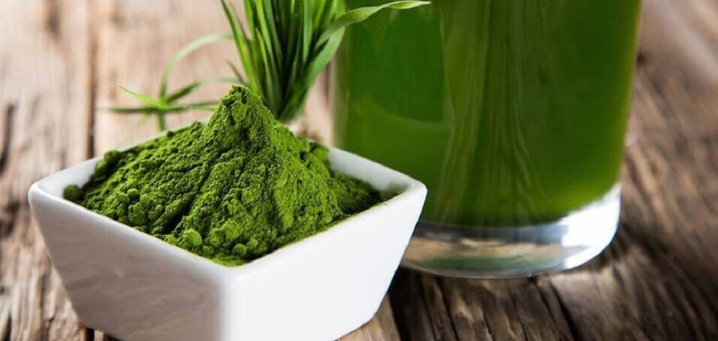 Bệnh nhân mắc bệnh u tuyến giáp có uống được tảo biển không? 1