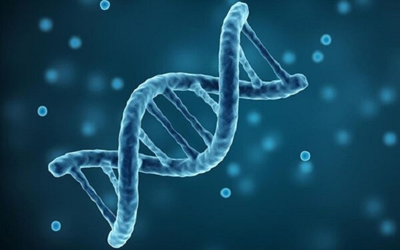 Liệu bệnh parkinson có di truyền không 2