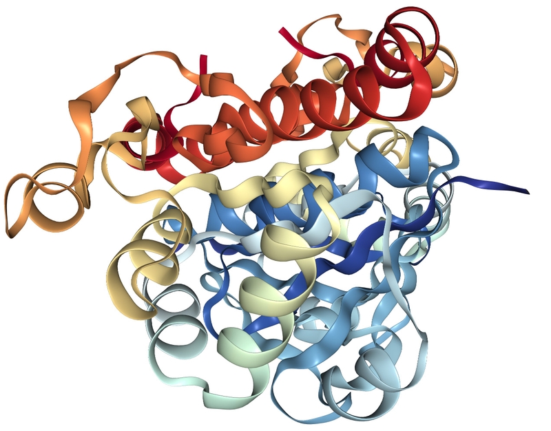 Liệu bệnh parkinson có di truyền không 3