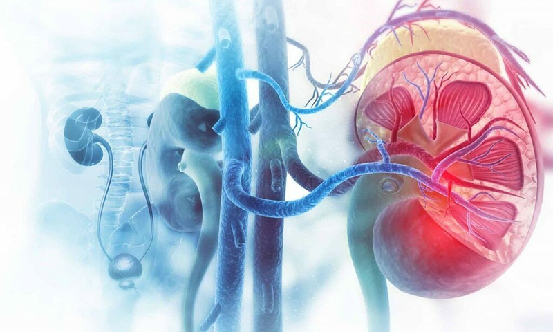 Bệnh phù thận có chữa được không? Những biến chứng dễ gặp nếu không điều trị bệnh sớm 4