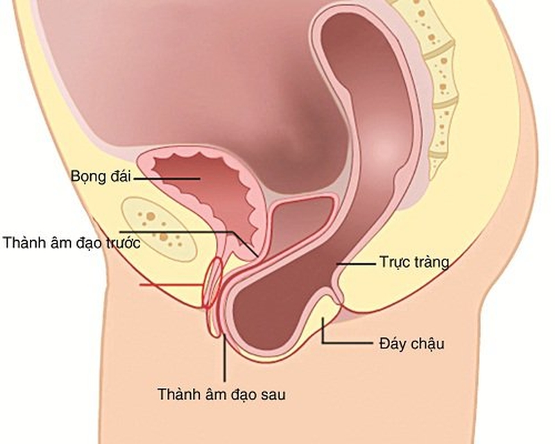 Bệnh sa trực tràng và phương pháp phẫu thuật Altemeier1