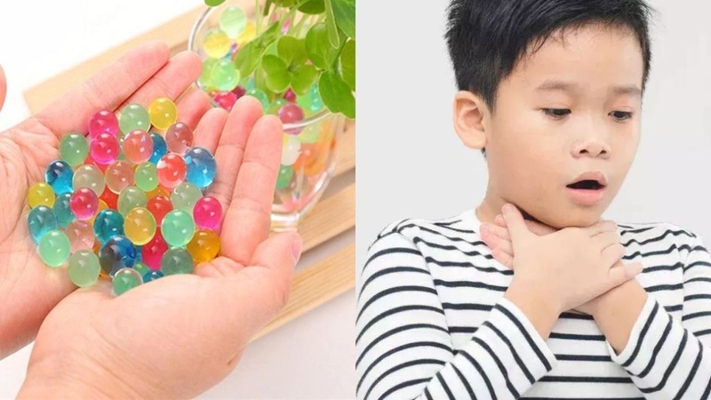 Hạt nở có độc không? Những thông tin cần biết về loại hạt này! 1