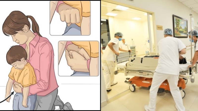 Hạt nở có độc không? Những thông tin cần biết về loại hạt này! 3