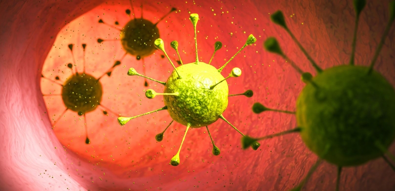 Bệnh sởi có lây không? Cách phòng ngừa sởi hiệu quả nhất 2