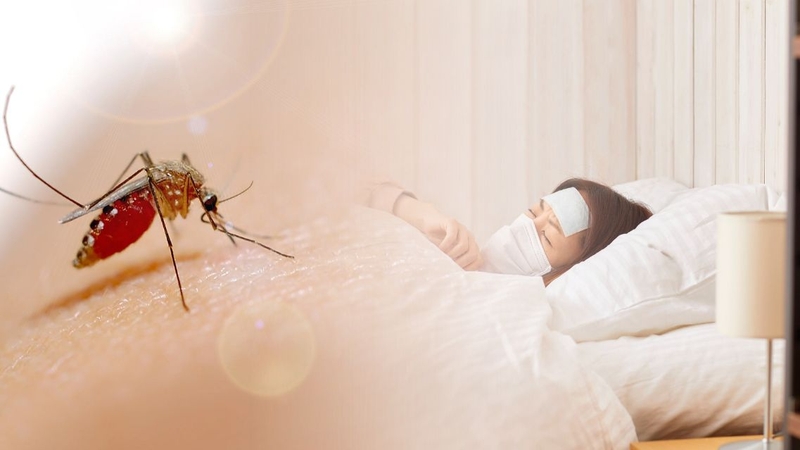 Nhiều người thắc mắc&nbsp;bệnh sốt xuất huyết có lây qua không khí không