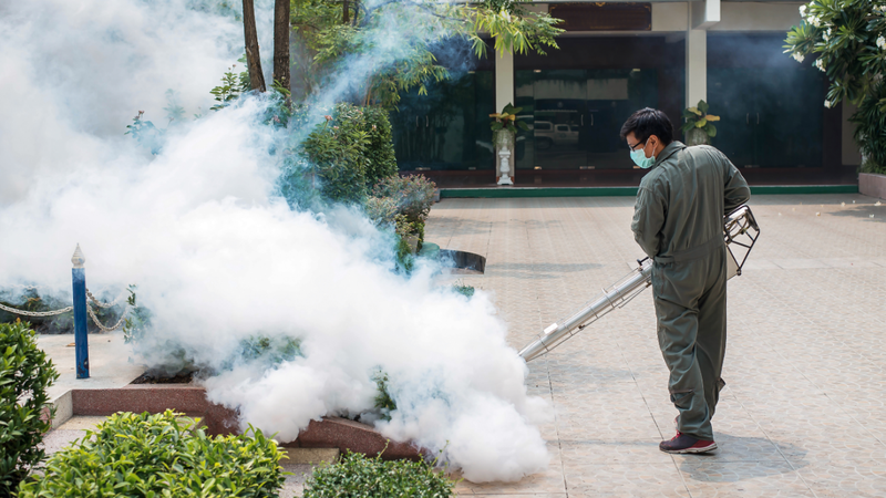 Phun thuốc diệt muỗi để phòng bệnh sốt xuất huyết