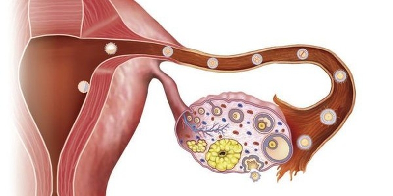 Có nên tẩy lông vùng kín không? 3