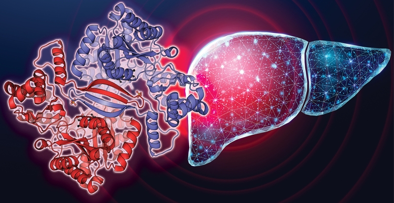 Bệnh suy gan có chữa được không? Biện pháp phòng ngừa bệnh suy gan 1
