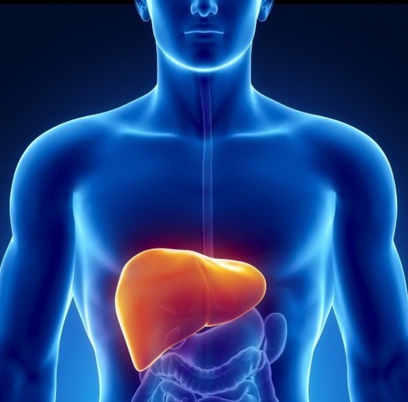 Tổn thương gan là một biến chứng suy tim