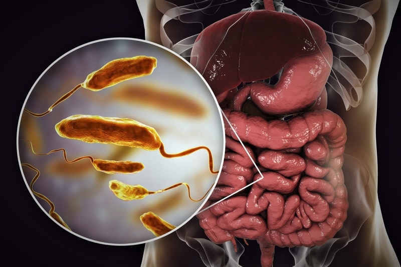 Bệnh tả: Triệu chứng, phương pháp điều trị bệnh tả và cách phòng tránh bệnh 4