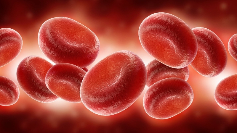 Bệnh tan máu tự miễn là gì? Phân loại và nguyên nhân gây bệnh 1