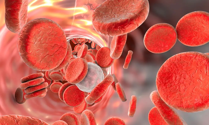 Bệnh tan máu tự miễn là gì? Phân loại và nguyên nhân gây bệnh 2