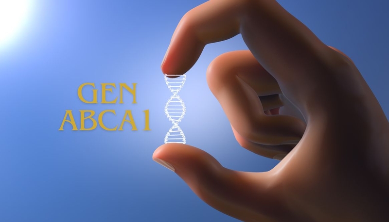 Bệnh Tangier: Căn bệnh hiếm gặp nhưng nguy hiểm không ngờ 2