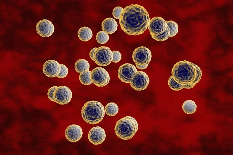 Bệnh tay chân miệng có nguy hiểm không? Làm sao để phòng ngừa? 3