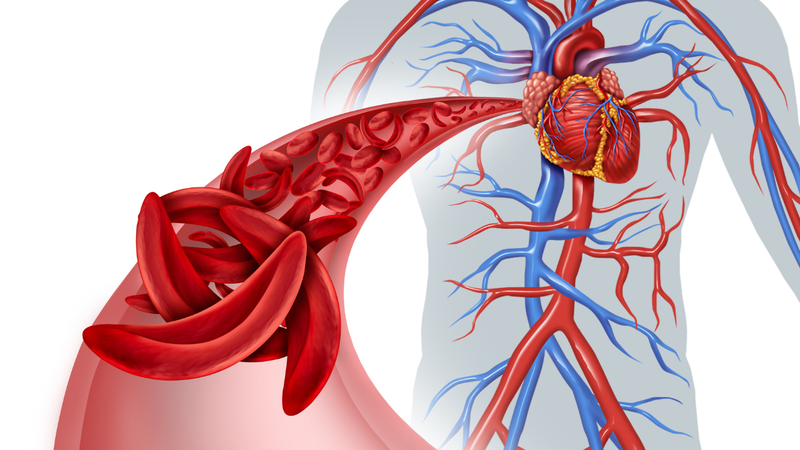 Khi lượng hồng cầu hoặc hemoglobin giảm, cơ thể không nhận đủ oxy để nuôi dưỡng các cơ quan