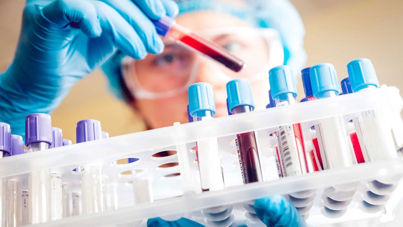 Bệnh thiếu máu thalassemia - Hiểu biết, phòng tránh và điều trị