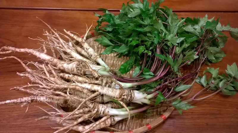 Bệnh thiếu máu và cách điều trị hiệu quả cho người bệnh 3