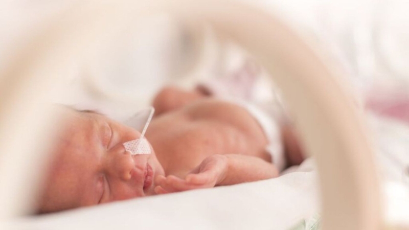 Bệnh thường gặp ở trẻ sinh non: Những vấn đề cha mẹ cần biết sớm 2