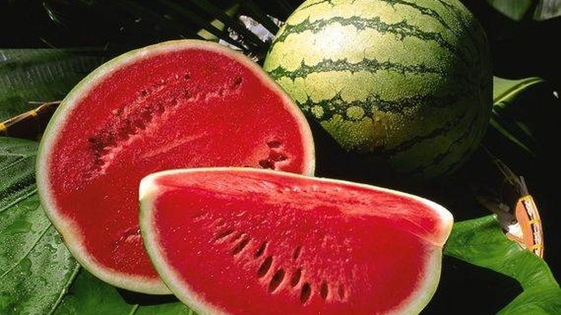 bệnh nhân tiểu đường ăn dưa hấu được không