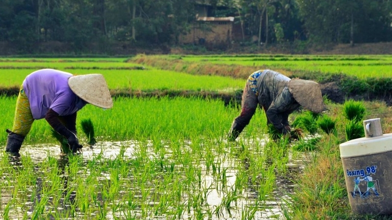 Bệnh tổ đỉa ngón chân: Những điều cần lưu ý 3
