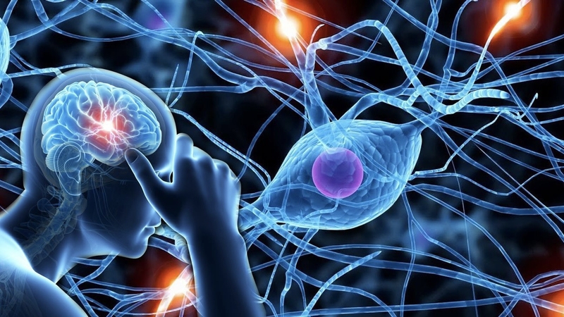 benh-tram-cam-anh-huong-gi-den-nao-bo 3