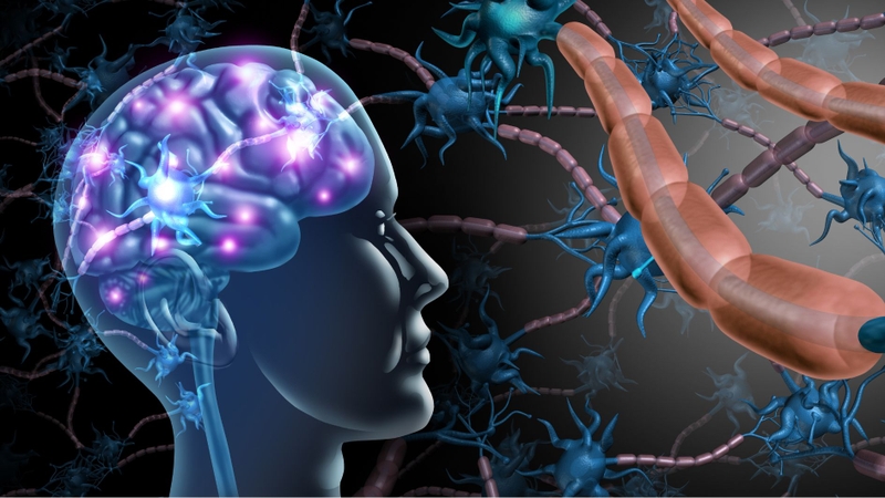 Phương pháp điều trị kích thích não bộ tác động đến các dây thần kinh