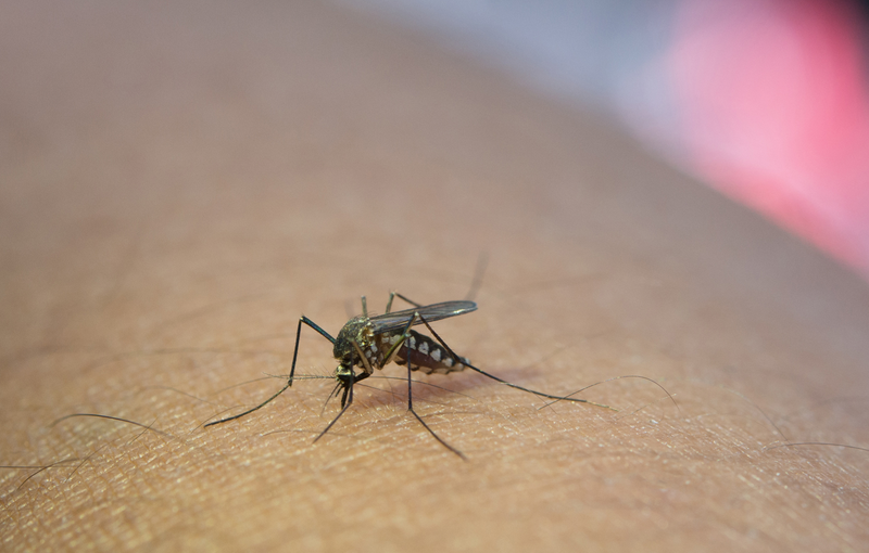 bệnh truyền nhiễm nhóm b 2