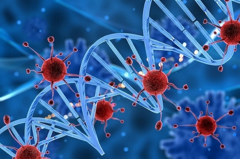 Bệnh ung thư nào nguy hiểm nhất? Biện pháp phòng tránh bệnh ung thư hiệu quả 1