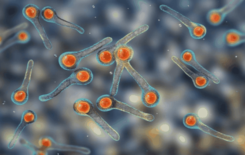 benh-uon-van-u-benh-bao-lau-thi-khoi-phat 2.png