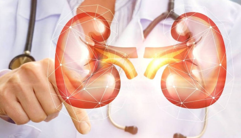 Bệnh viêm cầu thận có nguy hiểm không? Những điều cần biết về bệnh viêm cầu thận 3