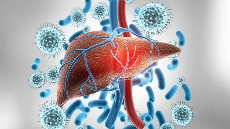 Phụ nữ tiêm viêm gan B sau bao lâu thì có thai? 1