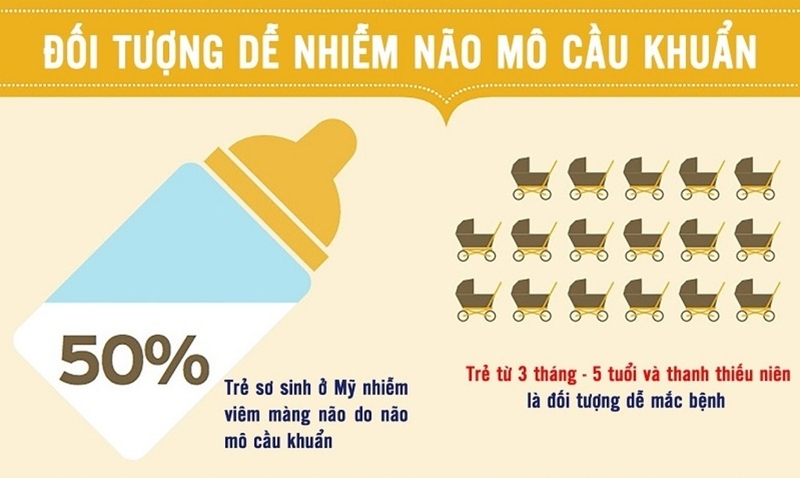 đối tượng dễ nhiễm viêm não mô cầu