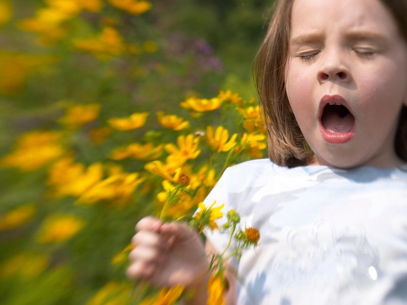 Bệnh viêm mũi dị ứng ở trẻ em và những lưu ý 1