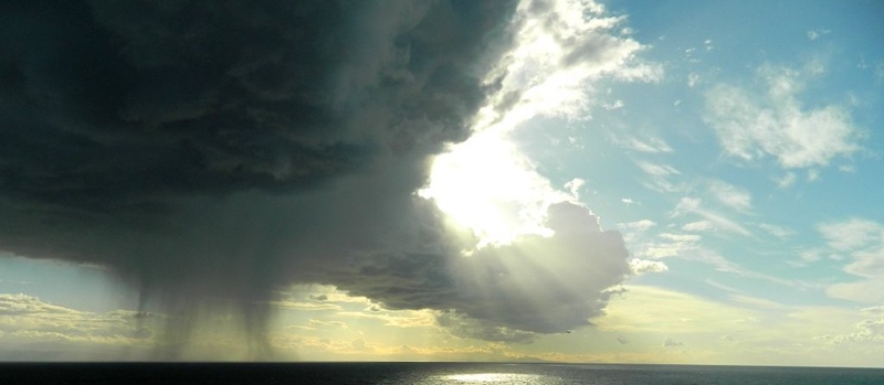 Cách chăm sóc và phòng ngừa bệnh viêm mũi dị ứng thời tiết