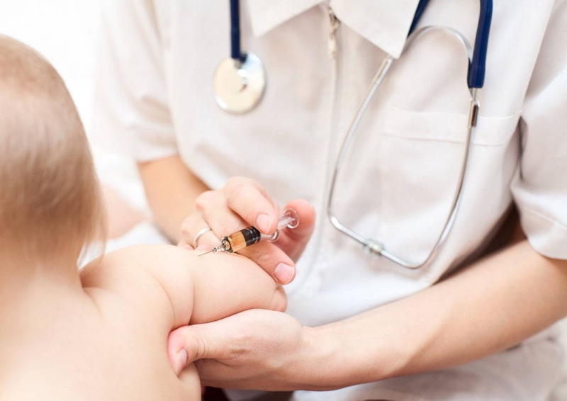 Bệnh viêm não Nhật Bản là gì 1