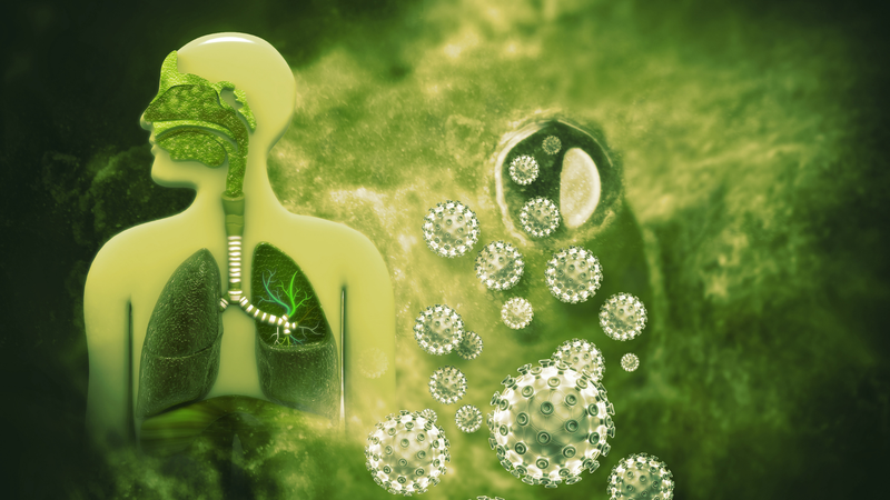 Bệnh viêm phổi có lây không? Lời giải đáp chi tiết dành cho bạn6