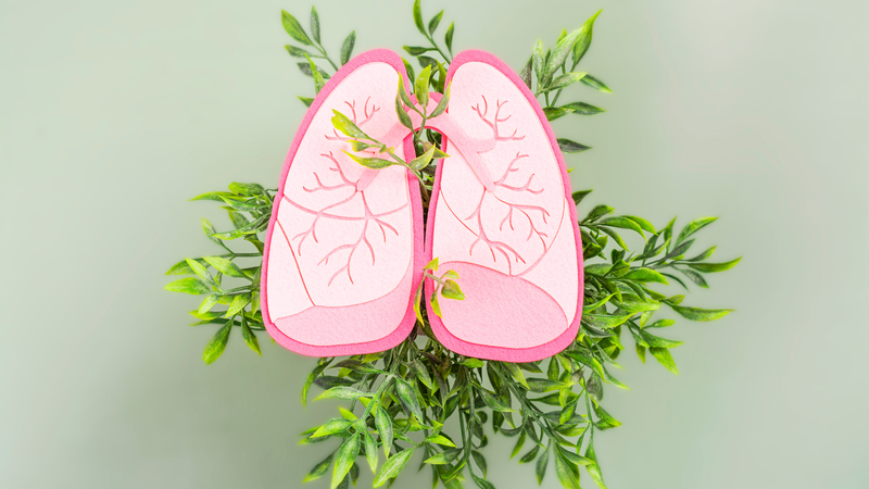 Bệnh viêm phổi có lây không? Lời giải đáp chi tiết dành cho bạn9