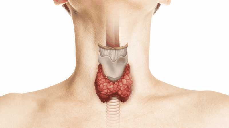 Bệnh viêm tuyến giáp bán cấp: Nguyên nhân, triệu chứng và biện pháp điều trị bệnh 1
