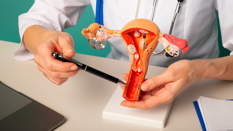 Bệnh vô sinh có di truyền không? Các yếu tố di truyền ảnh hưởng đến vô sinh 4