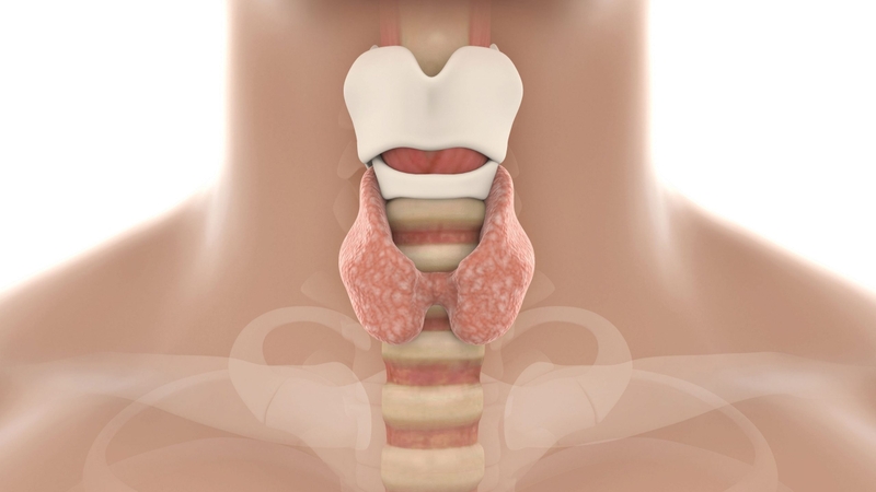 Bệnh Von Willebrand: Triệu chứng, nguyên nhân và phương pháp điều trị 5
