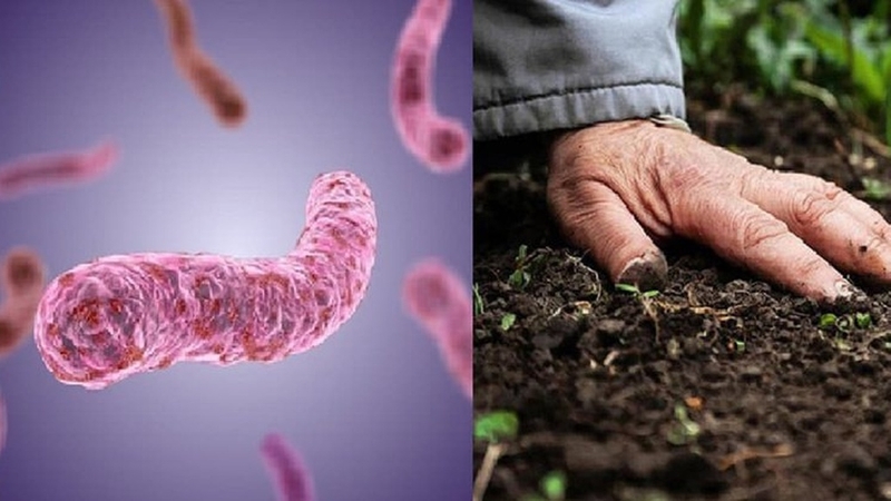 Bệnh Whitmore là gì và nó nguy hiểm như thế nào? 3