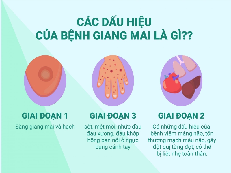 Bệnh xã hội là gì? Thời gian ủ các bệnh xã hội thường gặp là bao lâu? 3