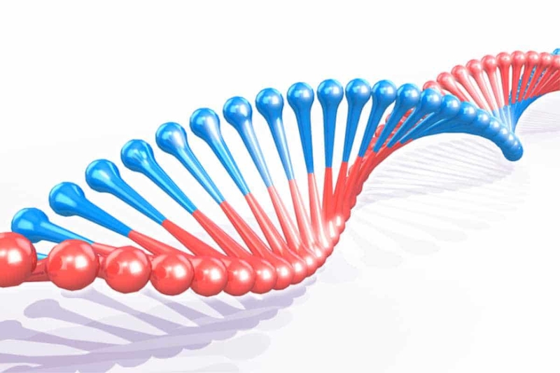 Bệnh xương thủy tinh có di truyền không?2