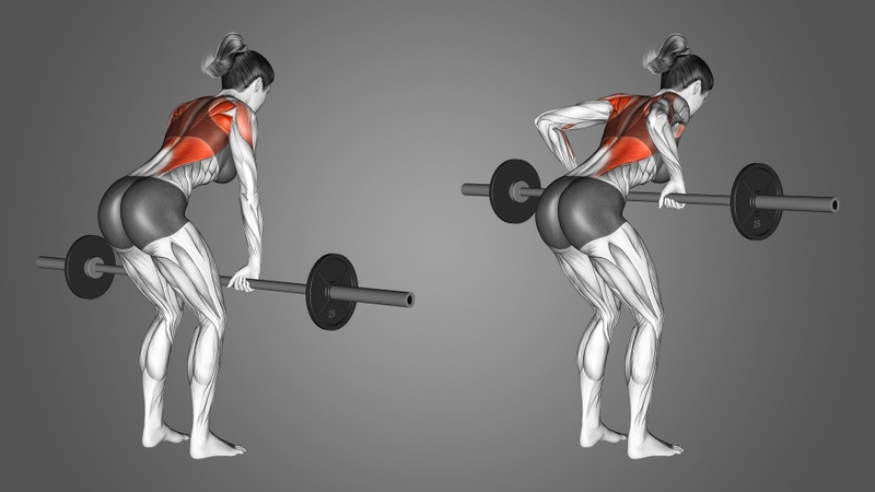Lợi ích của bài tập bent over barbell row 4