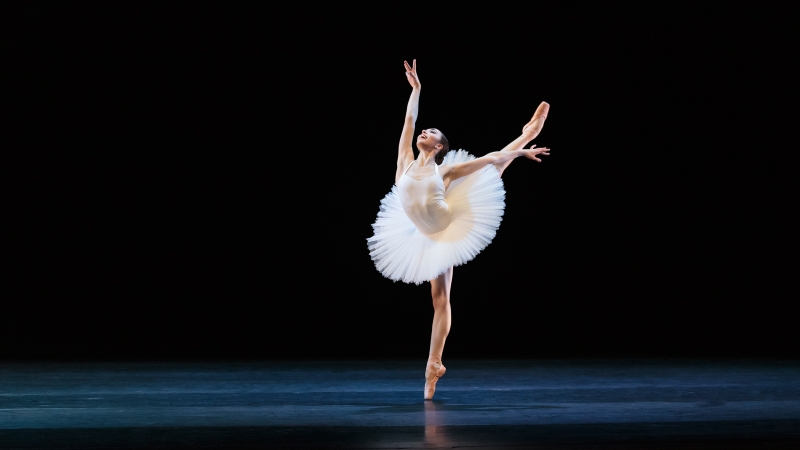 Béo phì là gì? Tác hại và cách phòng ngừa bèo phì 1