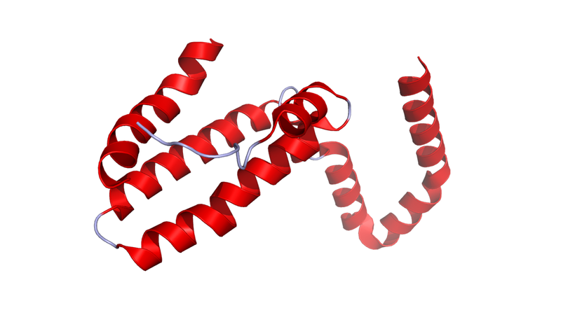 Betamethason dipropionat là gì? Công dụng và cách dùng 3